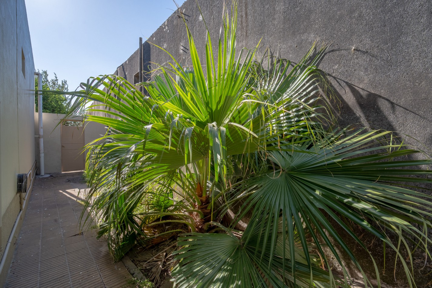 VINTAGE & CHIC! LISTA PARA HABITAR!