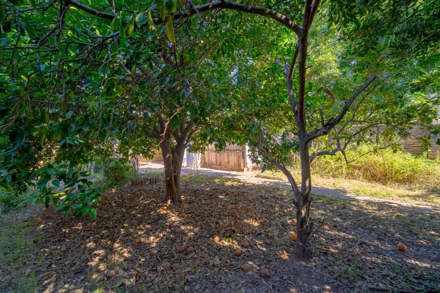 VINTAGE & CHIC! LISTA PARA HABITAR!