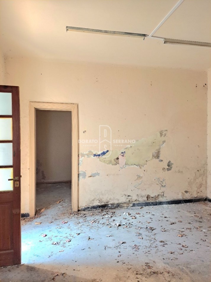 LOCAL FRENTISTA + LOTE Y CONSTRUCCION INTERNOS / AREA CENTRAL.  