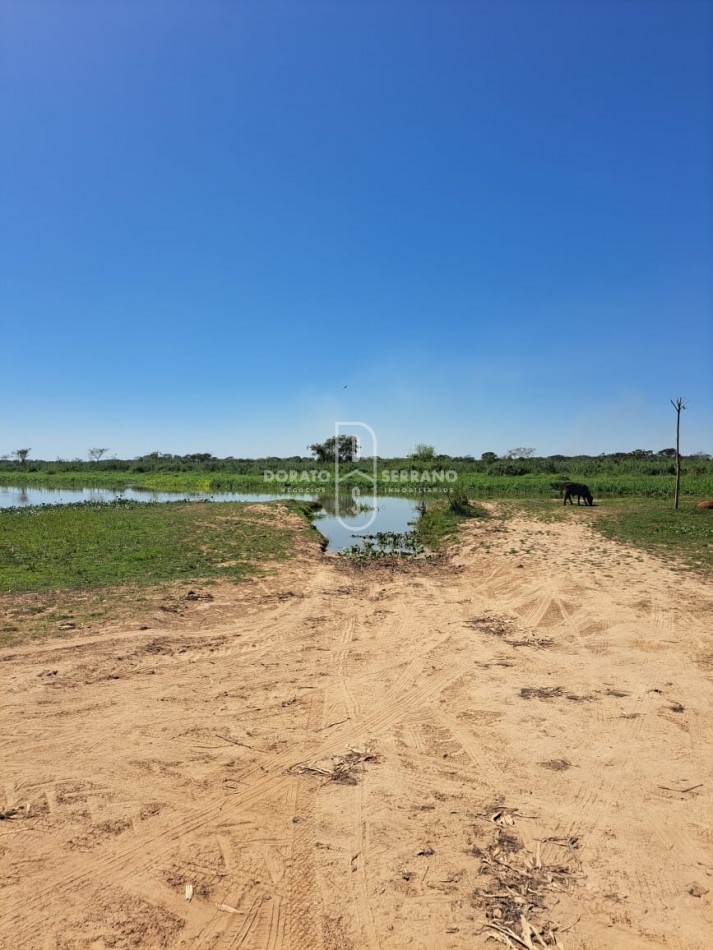 GUARDERIA NAUTICA! GRAN RENTABILIDAD + GRANDES LOTES + BUENAS INSTALACIONES! 