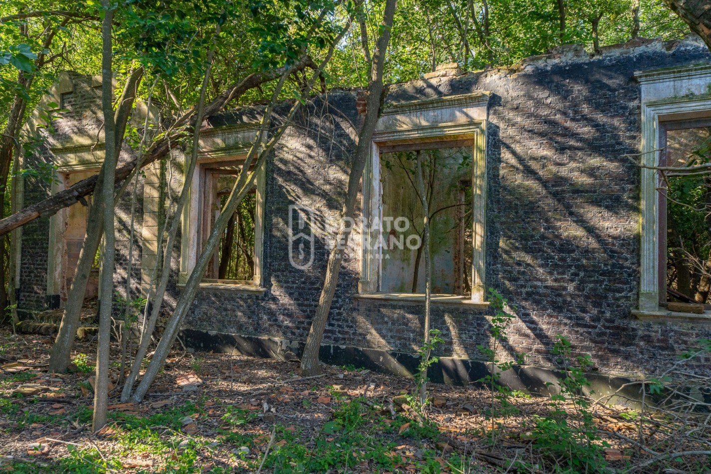 CAMPO AGRICOLA + ANTIGUA ESTACION OROÑO- GESSLER!