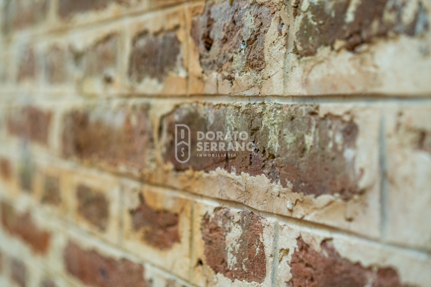 CAMPO AGRICOLA + ANTIGUA ESTACION OROÑO- GESSLER!