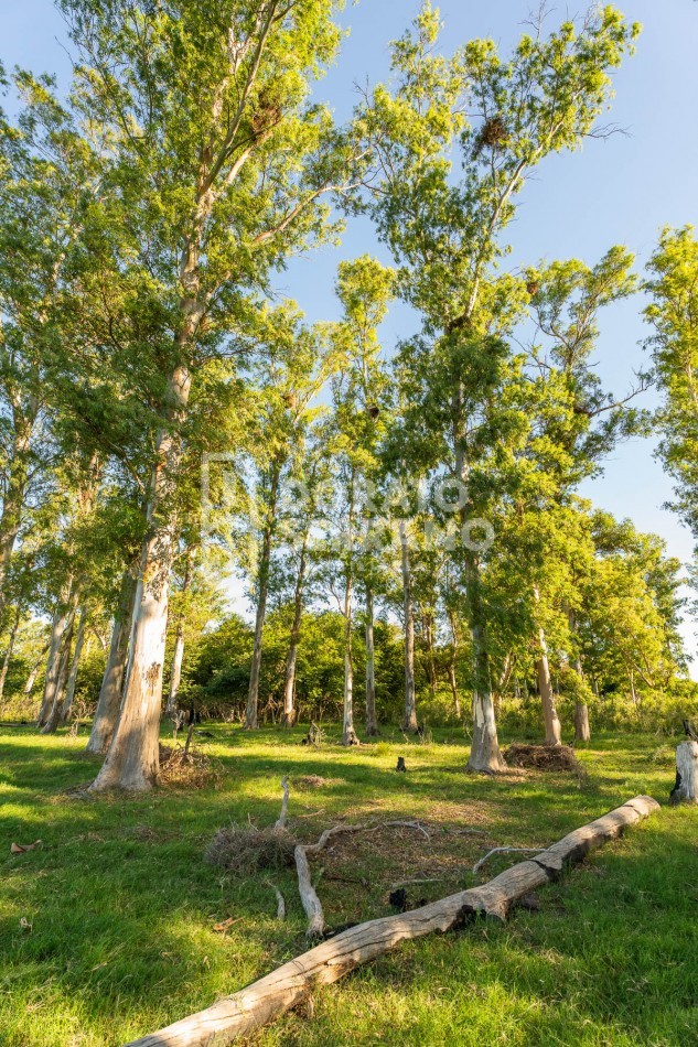 CAMPO AGRICOLA + ANTIGUA ESTACION OROÑO- GESSLER!