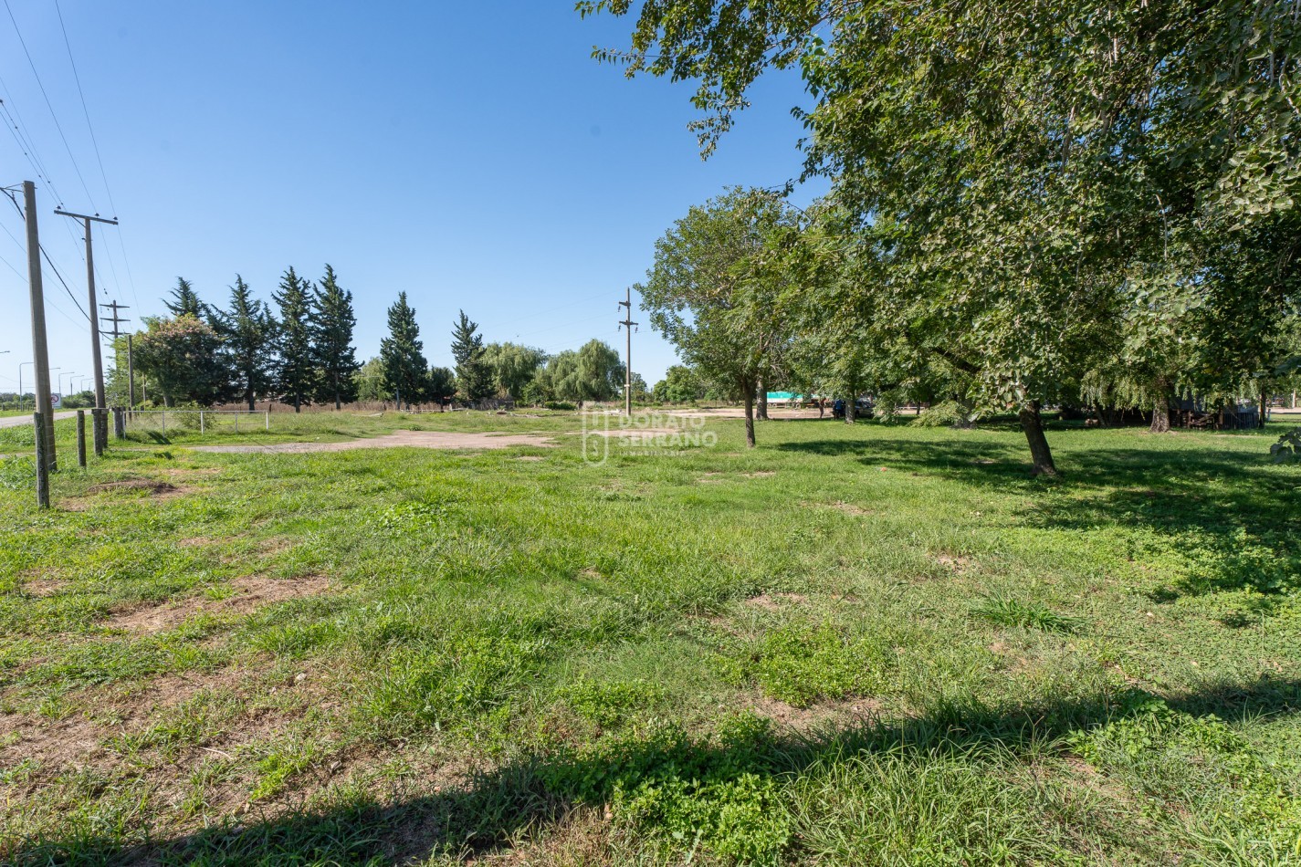 LOTE  ESTRATEGICO / MILLS Y B. SUR MER /   