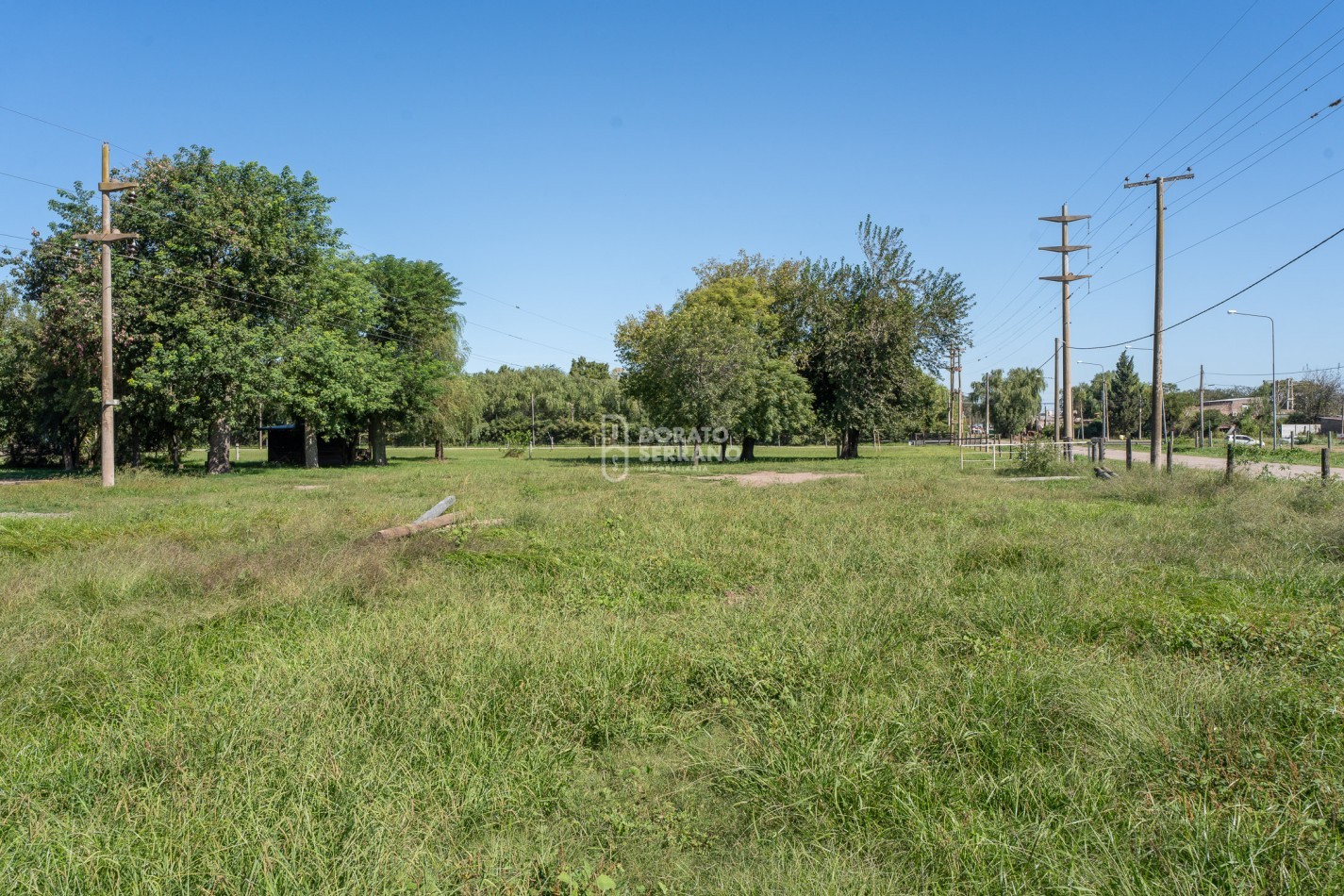 LOTE  ESTRATEGICO / MILLS Y B. SUR MER /   