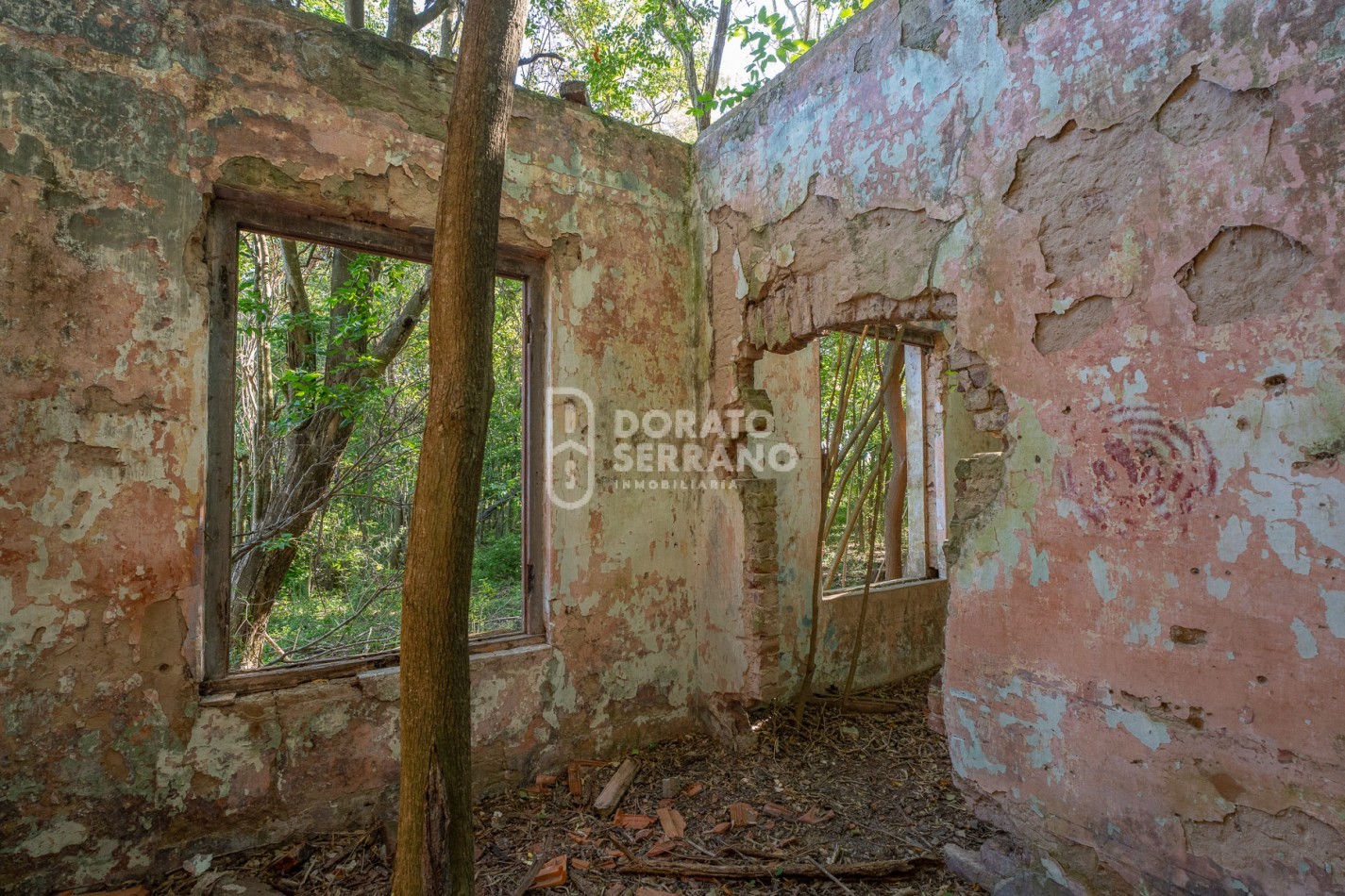 CAMPO AGRICOLA + ANTIGUA ESTACION OROÑO- GESSLER!