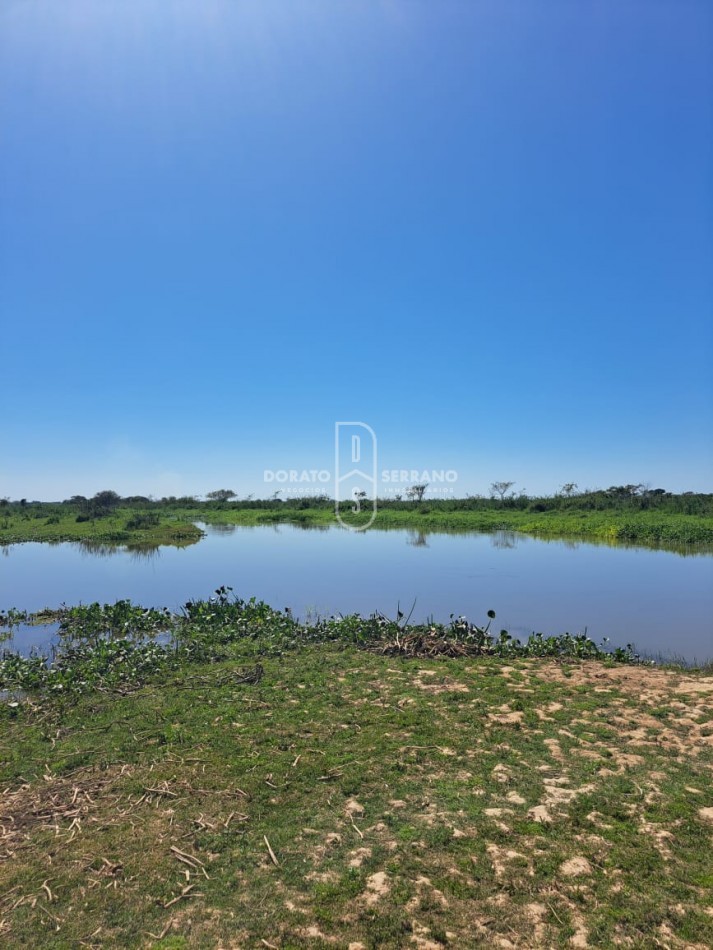 GUARDERIA NAUTICA! GRAN RENTABILIDAD + GRANDES LOTES + BUENAS INSTALACIONES! 