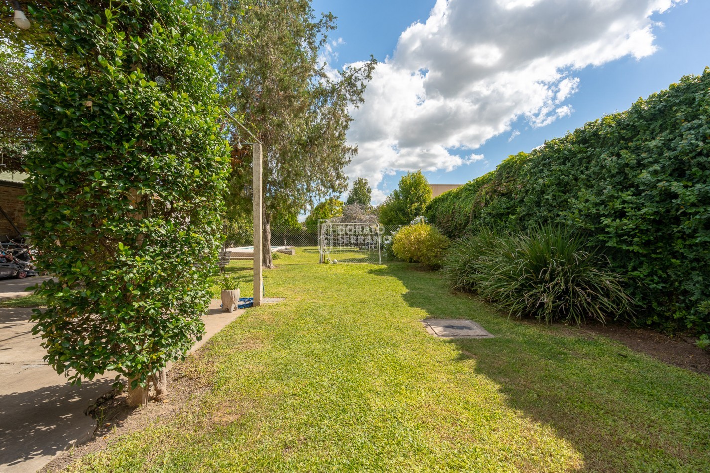 MAGNIFICA & VERSATIL / CANTIDAD + CALIDAD.