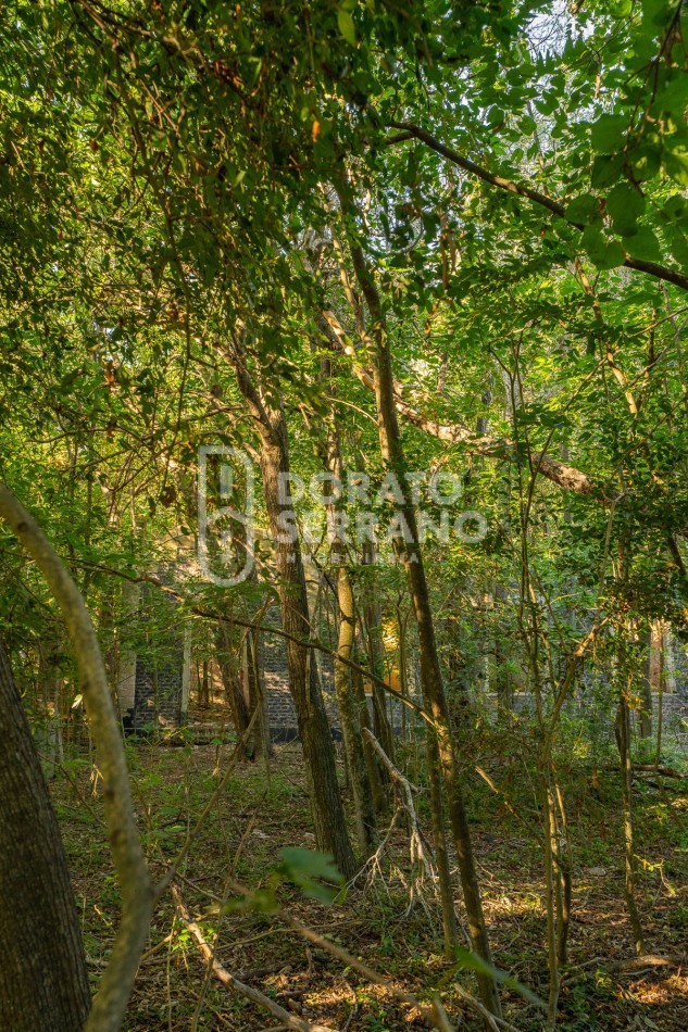 CAMPO AGRICOLA + ANTIGUA ESTACION OROÑO- GESSLER!