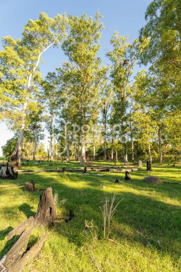 CAMPO AGRICOLA + ANTIGUA ESTACION OROÑO- GESSLER!
