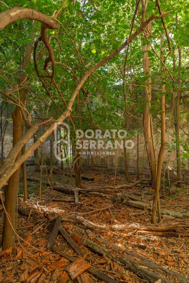 CAMPO AGRICOLA + ANTIGUA ESTACION OROÑO- GESSLER!