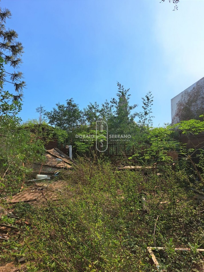 LOCAL FRENTISTA + LOTE Y CONSTRUCCION INTERNOS / AREA CENTRAL.  