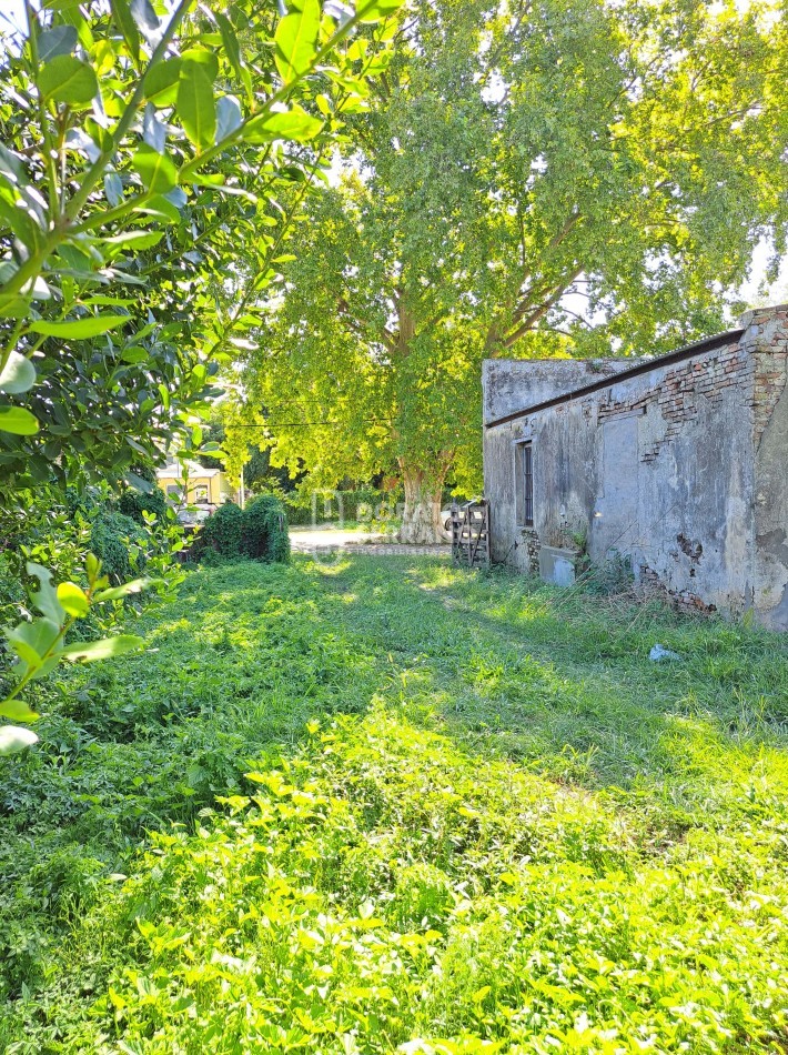 PUEBLO IRIGOYEN!  / 1.250 M2  + 2 CASAS + QUINCHO & PARQUE / 