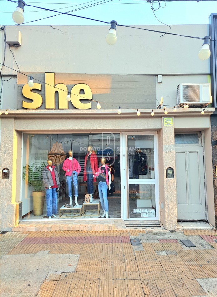 LOCAL FRENTISTA + LOTE Y CONSTRUCCION INTERNOS / AREA CENTRAL.  