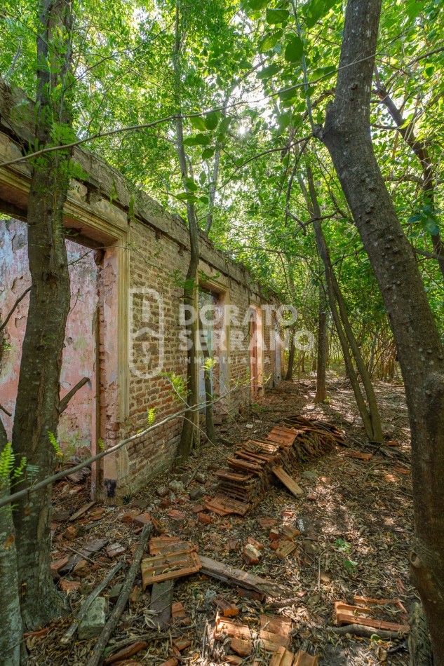 CAMPO AGRICOLA + ANTIGUA ESTACION OROÑO- GESSLER!