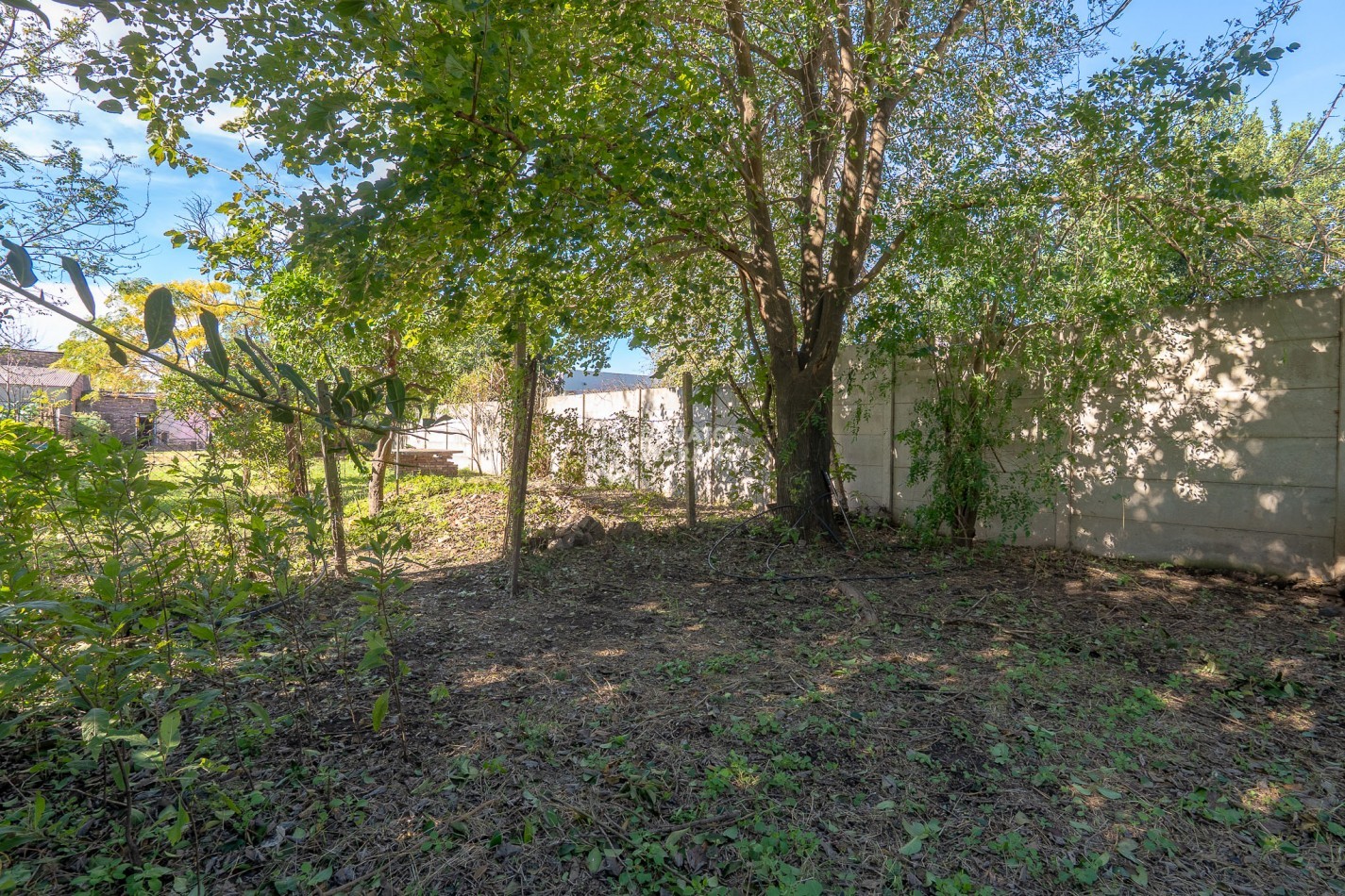 CASA A RECICLAR + LOTE 10 X55!