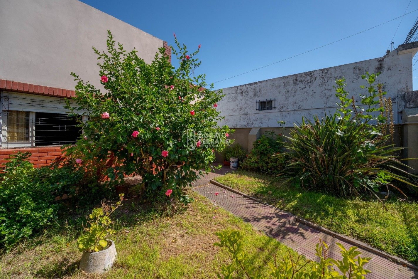 UNA GRAN OPORTUNIDAD! 