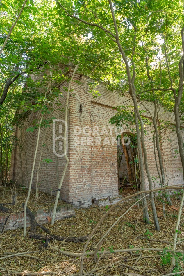 CAMPO AGRICOLA + ANTIGUA ESTACION OROÑO- GESSLER!