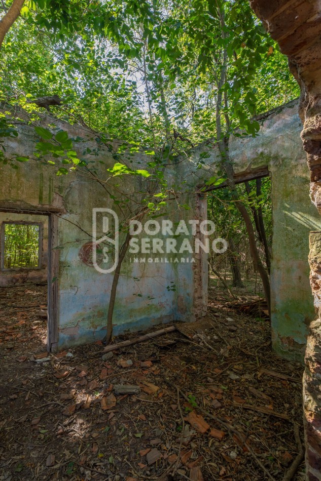 CAMPO AGRICOLA + ANTIGUA ESTACION OROÑO- GESSLER!