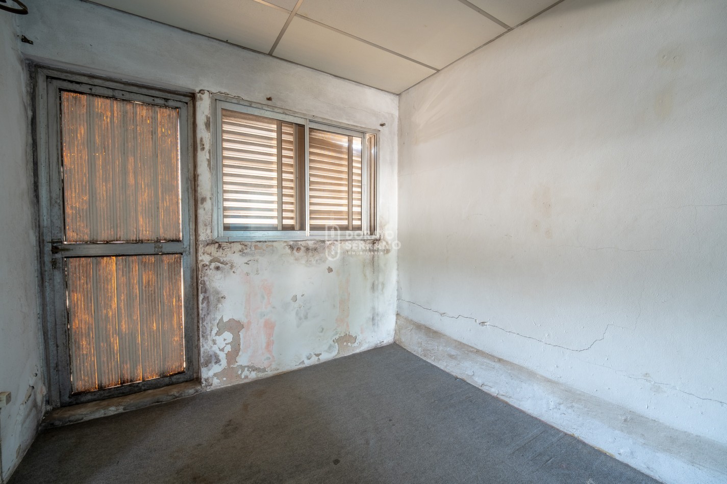 CASA CON LOCAL - PROYECTAR SIN LIMITES! AREA CENTRAL! 