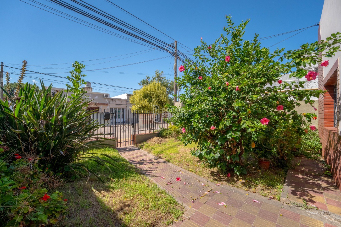 UNA GRAN OPORTUNIDAD! 