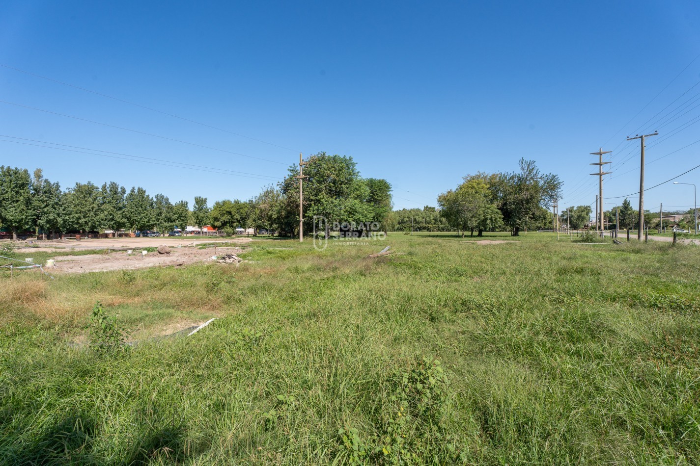 LOTE  ESTRATEGICO / MILLS Y B. SUR MER /   