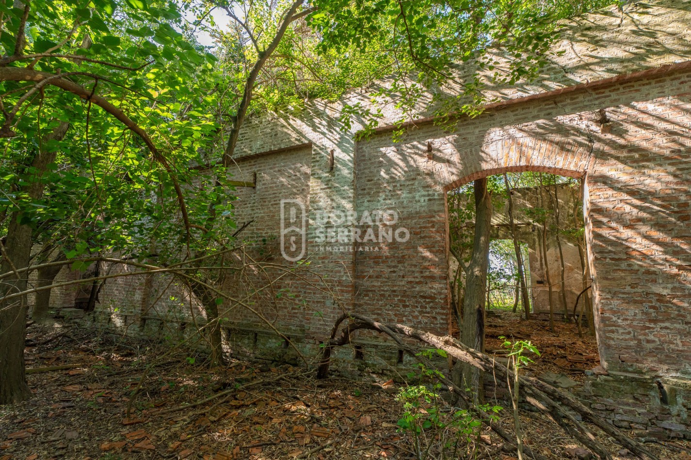 CAMPO AGRICOLA + ANTIGUA ESTACION OROÑO- GESSLER!