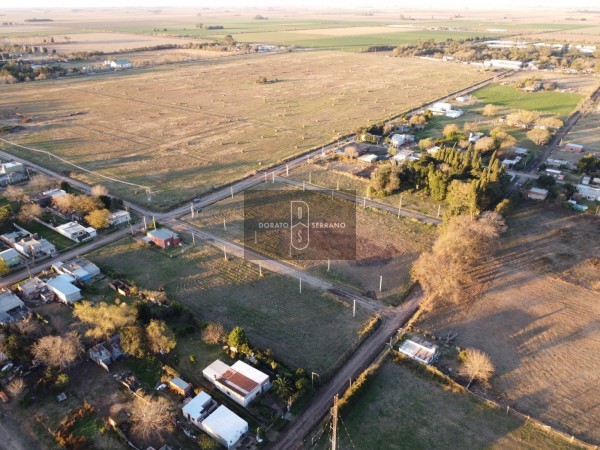 LOTEO FLOR DE LIS - EL FUTURO ES HOY! 