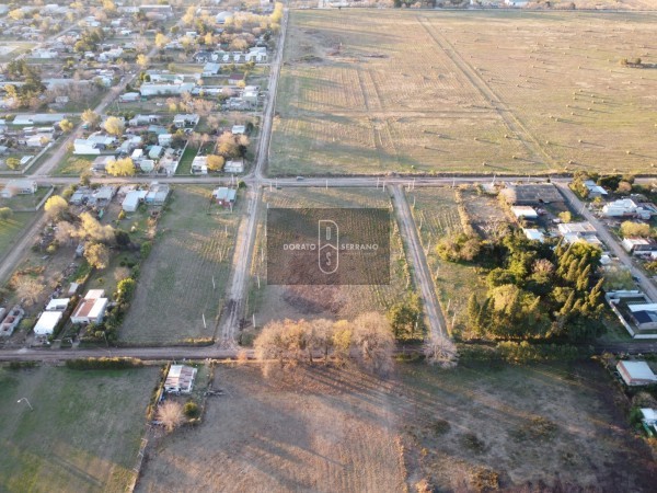 LOTEO FLOR DE LIS - EL FUTURO ES HOY! 