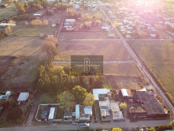 LOTEO FLOR DE LIS - EL FUTURO ES HOY! 