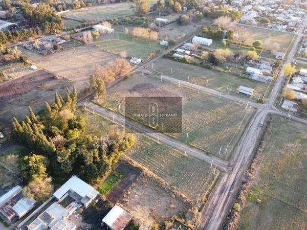 LOTEO FLOR DE LIS - EL FUTURO ES HOY! 