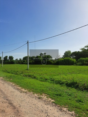 LOTEO FLOR DE LIS - EL FUTURO ES HOY! 