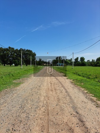 LOTEO FLOR DE LIS - EL FUTURO ES HOY! 