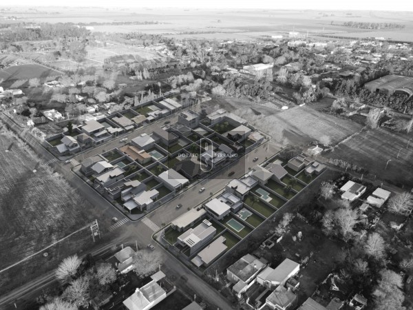 LOTEO FLOR DE LIS - EL FUTURO ES HOY! 