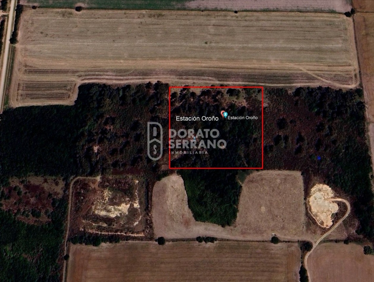 CAMPO AGRICOLA + ANTIGUA ESTACION OROÑO- GESSLER!