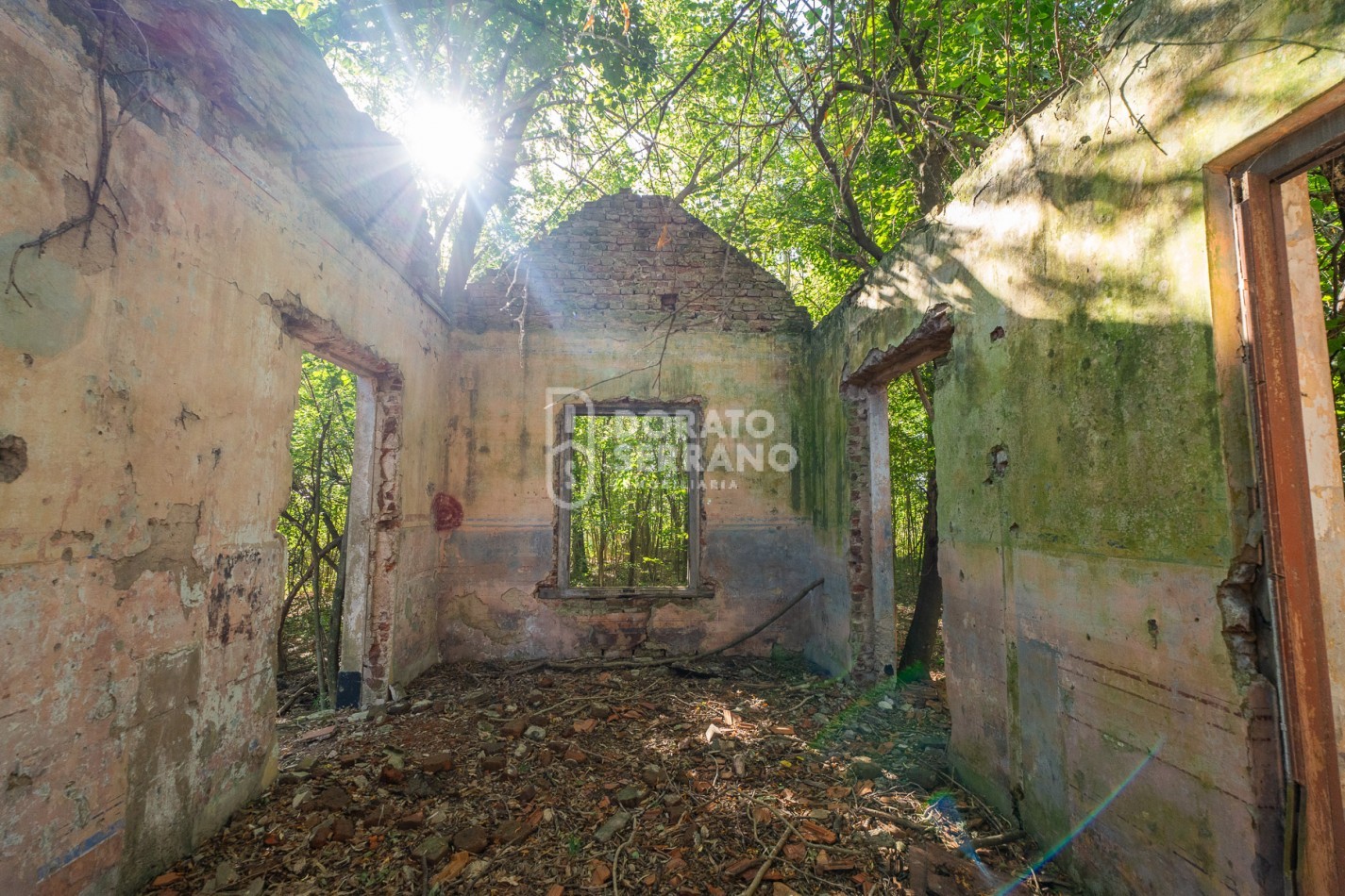 CAMPO AGRICOLA + ANTIGUA ESTACION OROÑO- GESSLER!