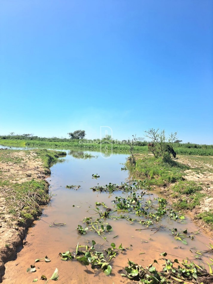GUARDERIA NAUTICA! GRAN RENTABILIDAD + GRANDES LOTES + BUENAS INSTALACIONES! 