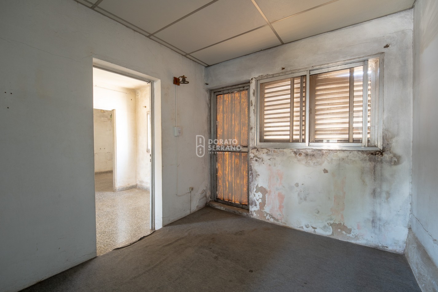 CASA CON LOCAL - PROYECTAR SIN LIMITES! AREA CENTRAL! 