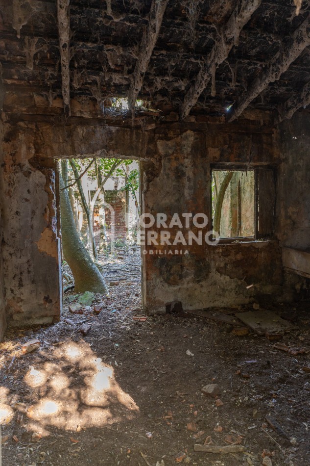 CAMPO AGRICOLA + ANTIGUA ESTACION OROÑO- GESSLER!