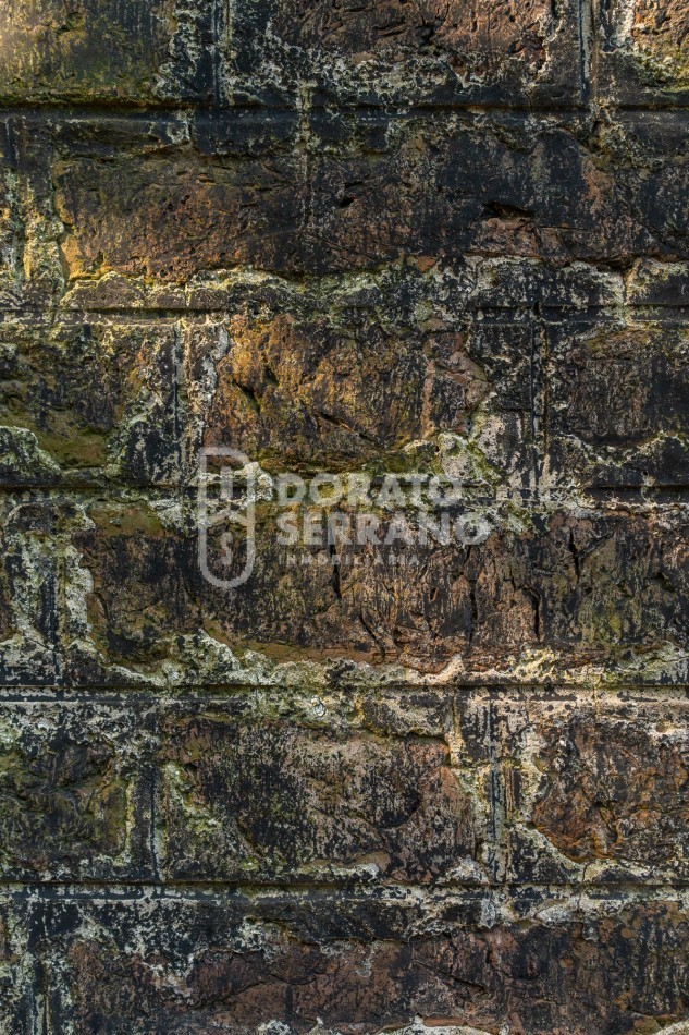 CAMPO AGRICOLA + ANTIGUA ESTACION OROÑO- GESSLER!