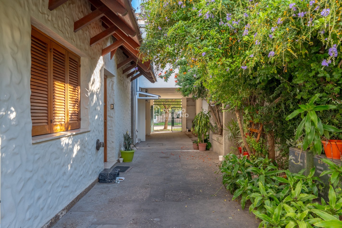 EL TESORO DE DORREGO - IMPERDIBLE / IMPECABLE! 