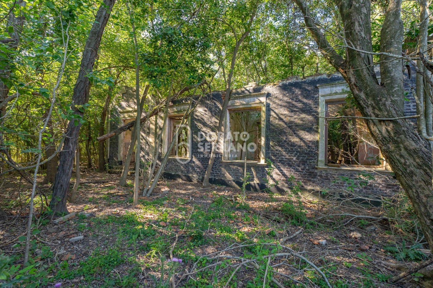 CAMPO AGRICOLA + ANTIGUA ESTACION OROÑO- GESSLER!