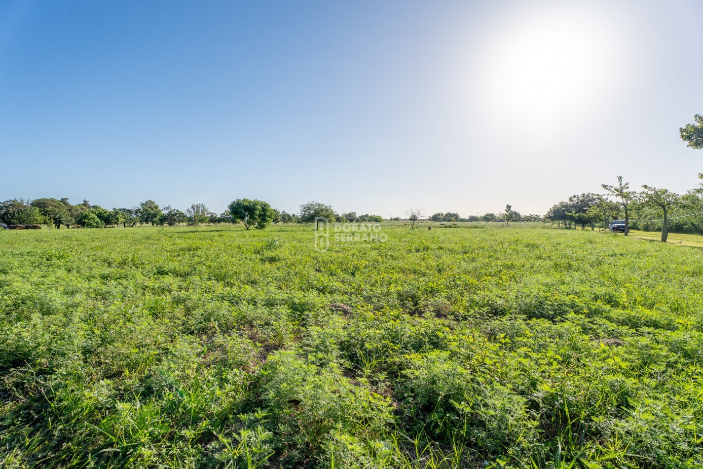 •	FINCA PREMIUM / DESVIO ARIJON / DE PELICULA! / 