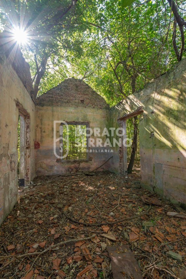 CAMPO AGRICOLA + ANTIGUA ESTACION OROÑO- GESSLER!