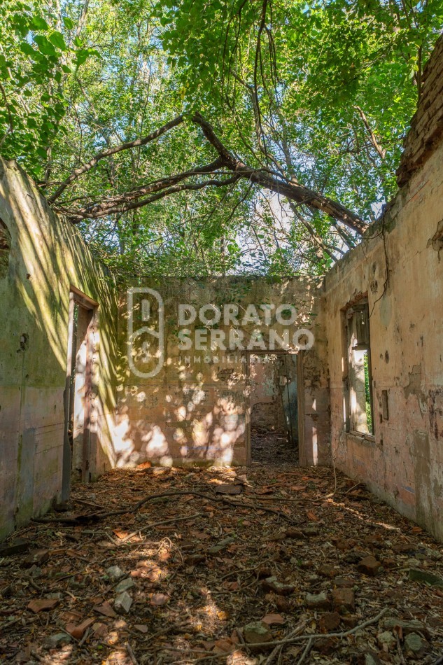 CAMPO AGRICOLA + ANTIGUA ESTACION OROÑO- GESSLER!