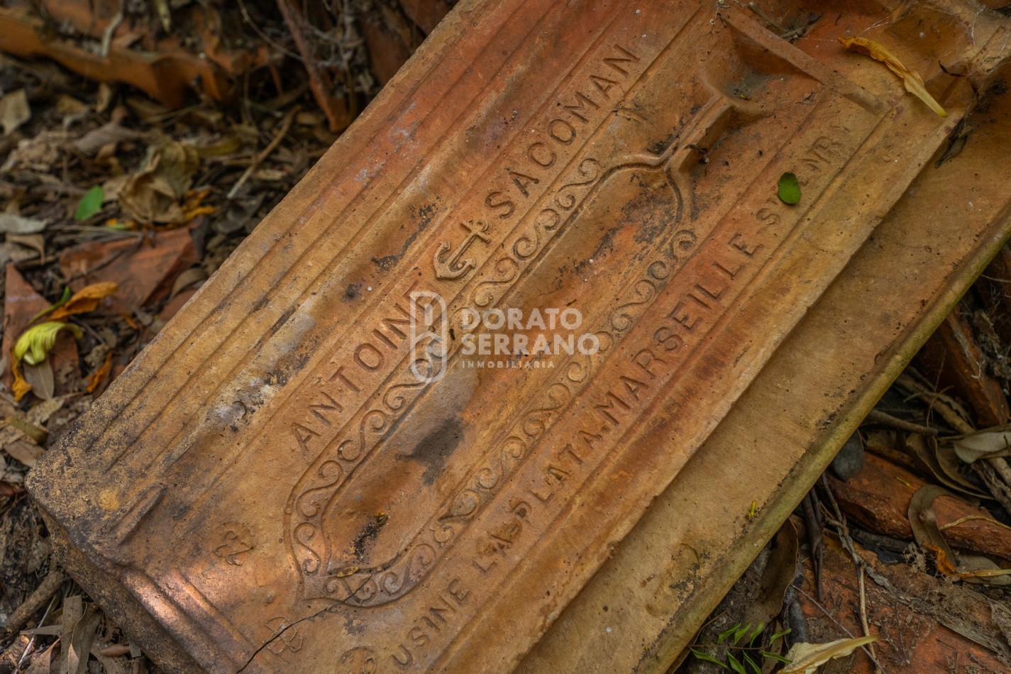 CAMPO AGRICOLA + ANTIGUA ESTACION OROÑO- GESSLER!