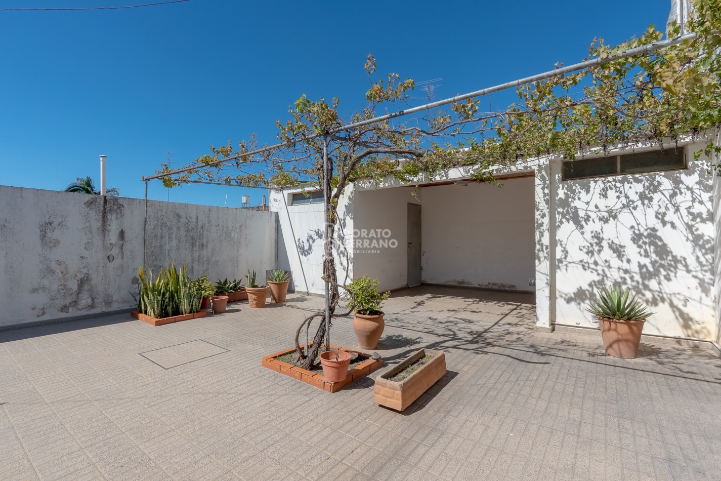 CASA + LOCAL SOBRE AVENIDA! 14 MTS. DE FRENTE!