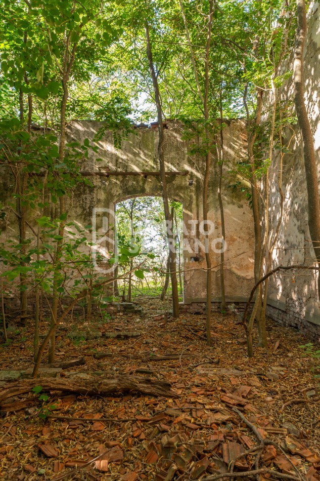 CAMPO AGRICOLA + ANTIGUA ESTACION OROÑO- GESSLER!