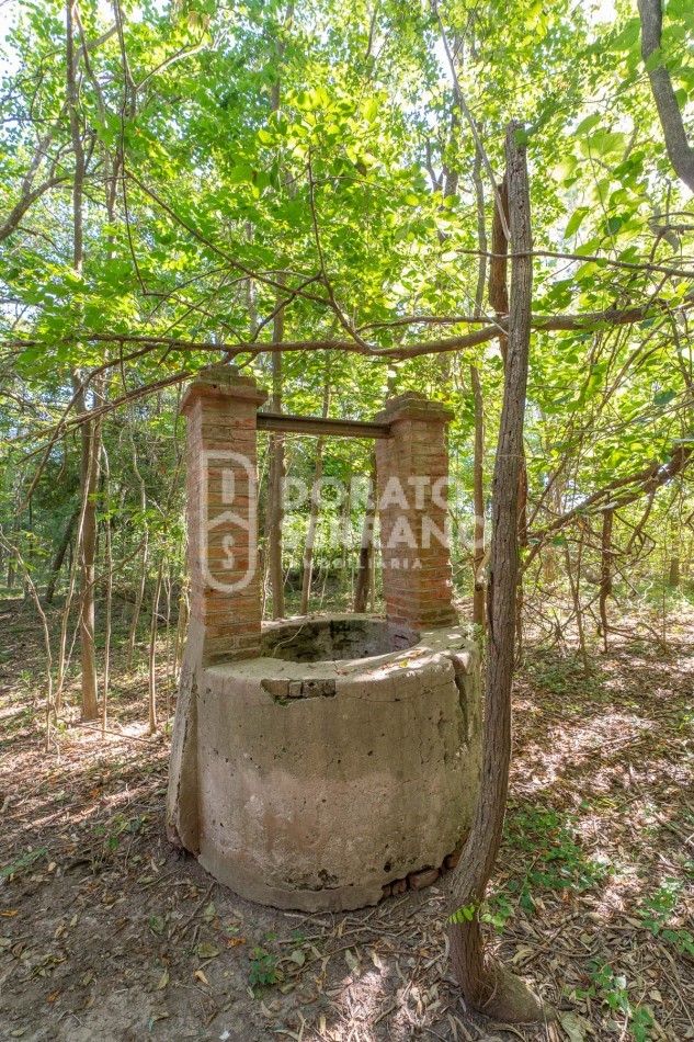 CAMPO AGRICOLA + ANTIGUA ESTACION OROÑO- GESSLER!