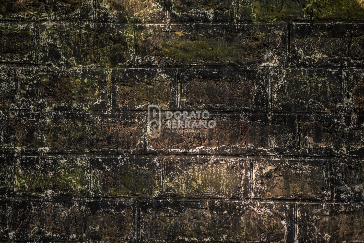 CAMPO AGRICOLA + ANTIGUA ESTACION OROÑO- GESSLER!